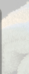 Asian Derma Clinic Skin MD and Facial Center Background