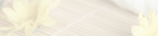 Asian Derma Clinic Skin MD and Facial Center Background